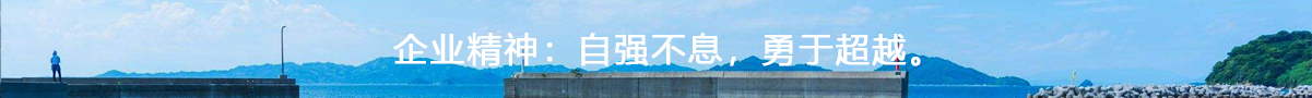 安徽水利建筑,安徽瑞丰工程科技集团有限公司