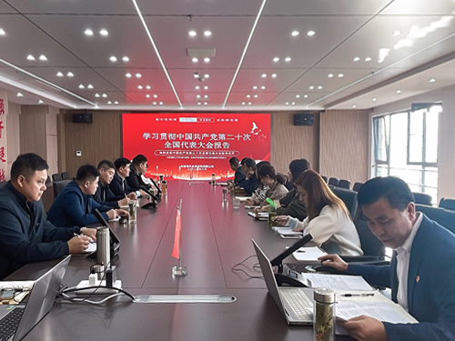公司组织学习党的二十大报告