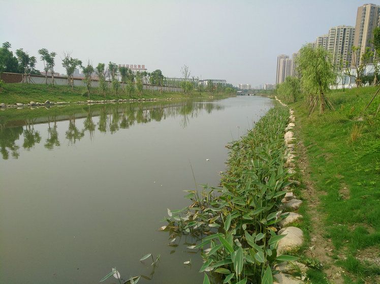 天公河水环境治理.jpg